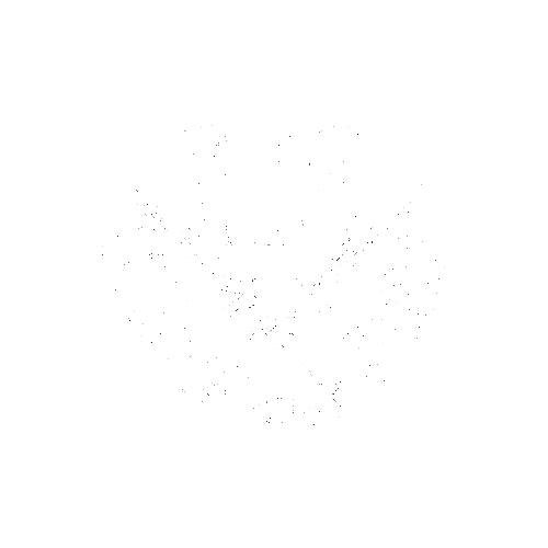 THISSkateshop giphyupload skateboard skateboarding fargo Sticker