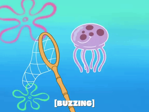 season 6 dear vikings GIF by SpongeBob SquarePants