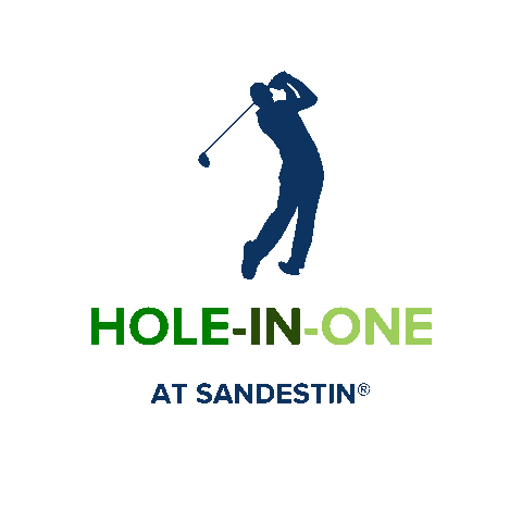 sandestingolfandbeachresort giphyupload golf florida golfing Sticker