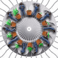 Miles Davis Garden GIF