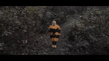 Bee Charity GIF by The Head And The Heart