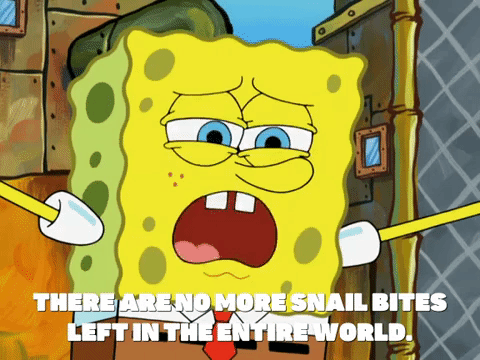 season 8 episode 22 GIF by SpongeBob SquarePants