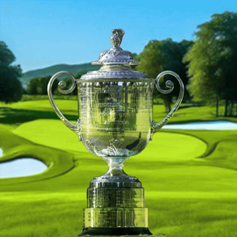 Pga Championship Golf GIF by RightNow