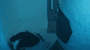inspire moon landing GIF by DUST