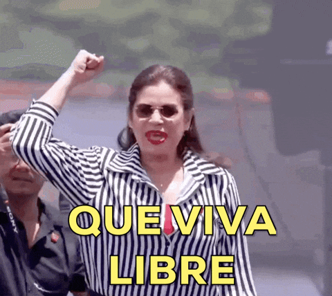 Honduras Rixi GIF by RixiPresidenta