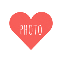 Chroma Key Camera Sticker by Paula Otti photography