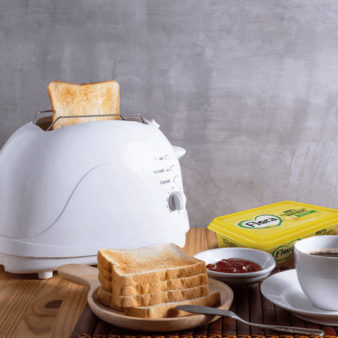 flora_espana flora desayuno tostadas margarina GIF