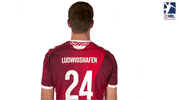 Handball-Bundesliga Peace GIF by LIQUI MOLY HBL