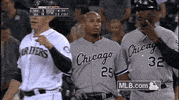 cws GIF by MLB