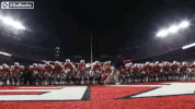 Ncaa Sports GIF by Ohio State Athletics