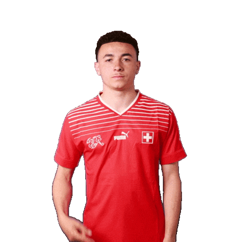 Ruben Vargas Link Sticker by Swiss Football Association