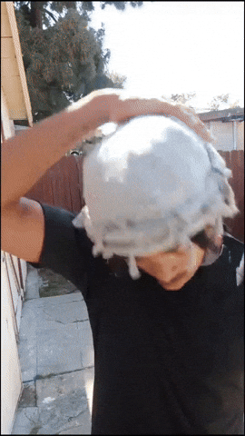 cray_31 giphyupload GIF