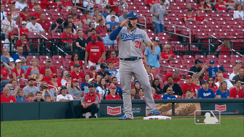 major league baseball sport GIF by MLB