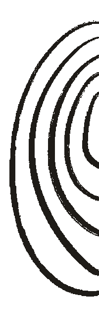 Drawing Line Sticker