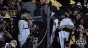 ice hockey sport GIF by NHL