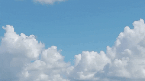 wrongfulconvictions giphyupload GIF