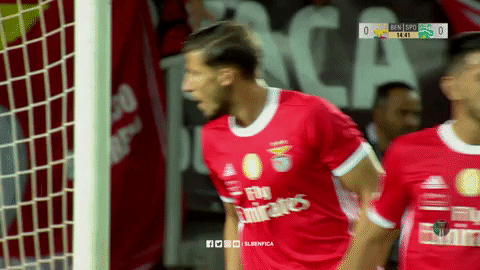 Come Sl Benfica GIF by Sport Lisboa e Benfica