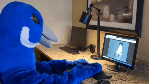 Working Work Day GIF by U.S. Fish and Wildlife Service