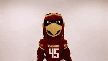 Ace Ulm GIF by University of Louisiana Monroe