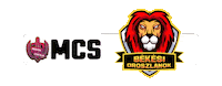 Esport Sticker by Megyék Csatája