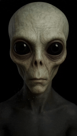 Stare Ballsac GIF