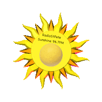 Radiostpete Sticker by StPeteDNA