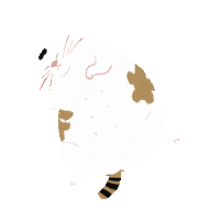 niuniulan cat lazy stayhome 貓 Sticker