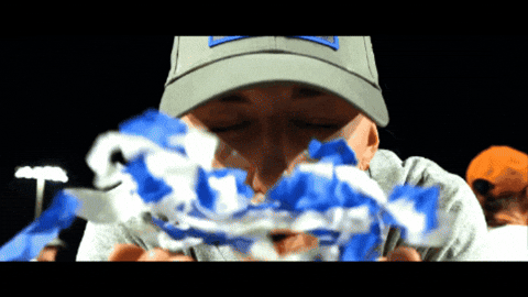 Softball GIF by Texas Longhorns