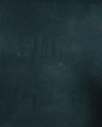 Major League Soccer Sport GIF by Timbers