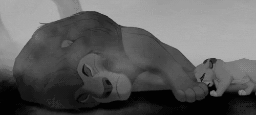 the lion king disney GIF