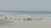 Camp Pendleton Beach GIF by CBS