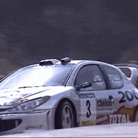 Gilles Panizzi Peugeot GIF