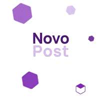 studiom2 arquitetura studiom2 studio m2 millenimarzolla Sticker