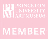 Princeton Art Museum GIF by Princeton University