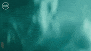 Series 12 Thirteenth Doctor GIF by Doctor Who