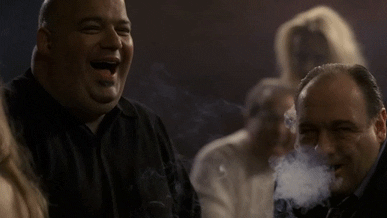 the sopranos GIF by Testing 1, 2, 3