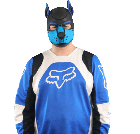 Blue Fox Sticker