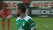 bundesliga celebrate GIF by SV Werder Bremen