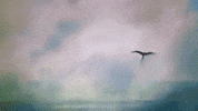 GIF by tomcjbrown