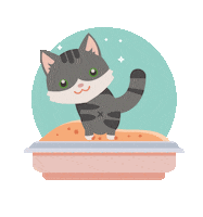 4Gatos Sticker