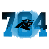 Football Sport Sticker by Carolina Panthers