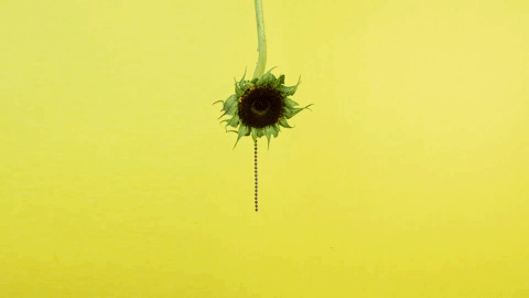 GIF by linastopmotion