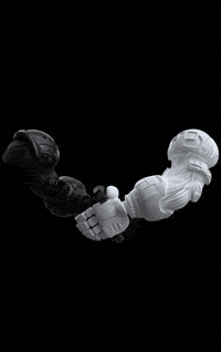 Panda Ailu GIF by Endangered Labs
