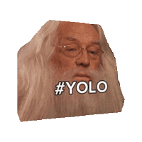 harry potter yolo GIF by imoji