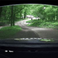 Car Crash GIF by FIA European Rally Championship