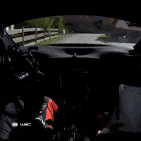 Racing Driving GIF by FIA World Rally Championship