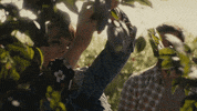 HallmarkChannel hallmark channel spring fever bottled with love hcbwl0413 GIF