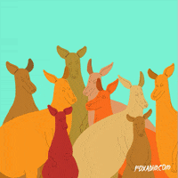Animation Domination Fox GIF by gifnews
