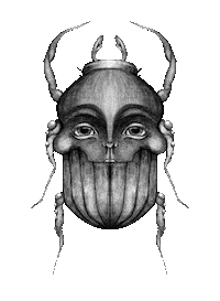 Bug Beetle Sticker