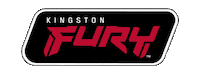 Fury Sticker by Kingston Technology